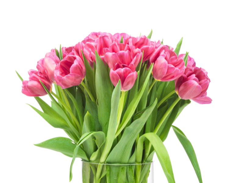 Bouquet Printanier - Tulipes
